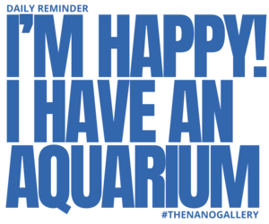 I'm happy! I have an aquarium