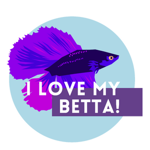 I love my betta - light