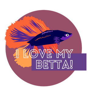 I love my betta - dark